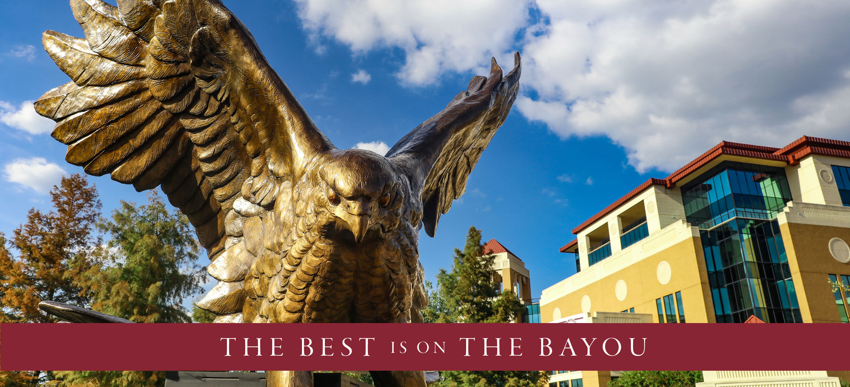 The Best is on the Bayou!